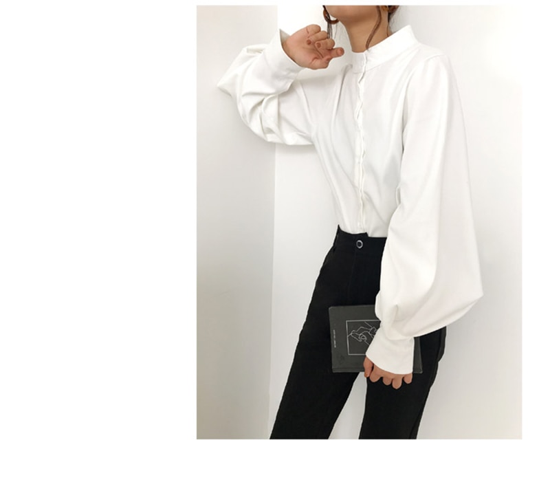 Mandarin Collar Lantern Sleeve Blouse for Women